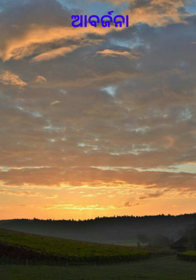 ଆବର୍ଜନା