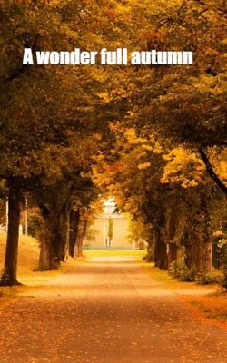 A Wonderful Autumn