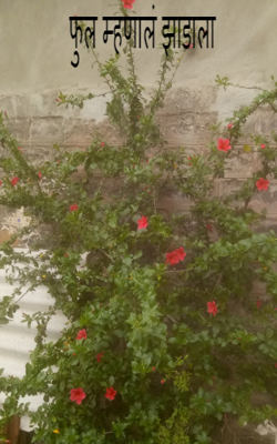 फुल म्हणालं झाडाला