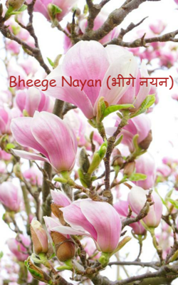 Bheege Nayan (भीगे नयन) - by Gurdarshan (तन्हा)