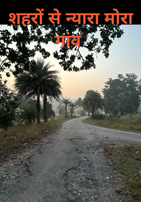शहरों से न्यारा मोरा गांव