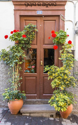 ପ୍ରୟାସ ର ଅନୁତାପ