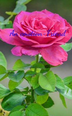 An Emotion - Friend