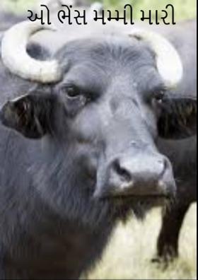 ઓ ભેંસ મમ્મી મારી