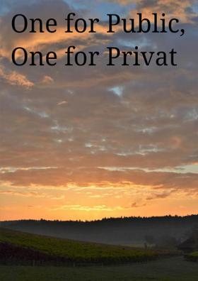 One For Public, One For Private