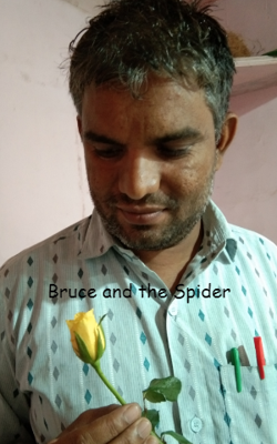 Bruce And The Spider