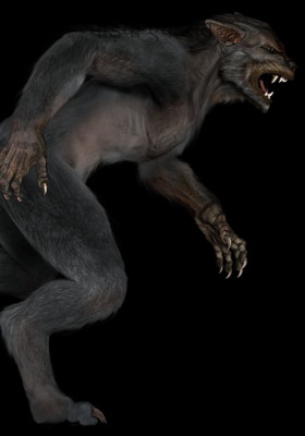 भेड़िया एक रात