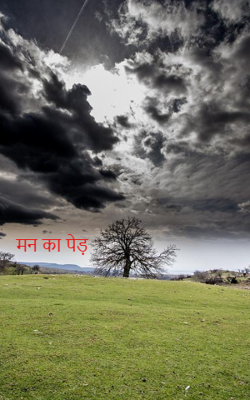                                                                   मन का पेड़