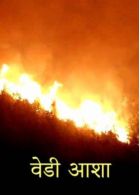 वेडी आशा