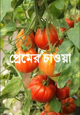 প্রেমের চাওয়া