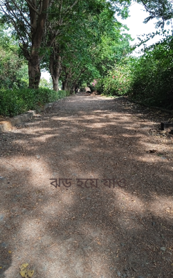 ঝড় হয়ে যাও