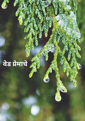 वेड प्रेमाचे