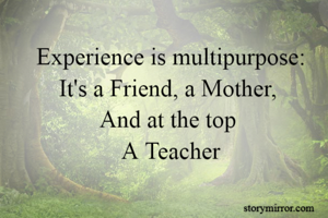 Experience is multipurpose:
It's a Friend, a Mother, 
And at the top 
A Teacher