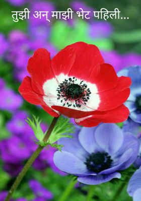 तुझी अन् माझी भेट पहिली...