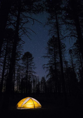 ଚୋରର ମାନବିକତା