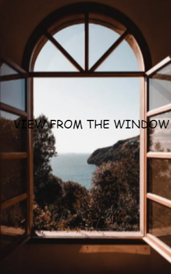 View From The Window