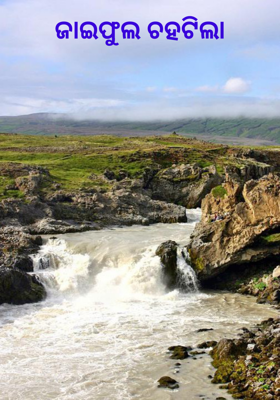 ଜାଇଫୁଲ ଚହଟିଲା