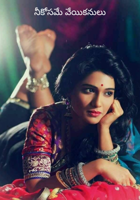 నీకోసమే వేయికనులు