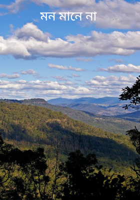 মন মানে না