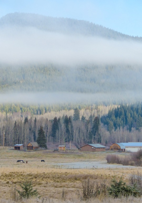अधुरी कहानी।

