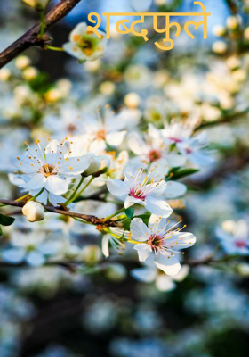 शब्दफुले