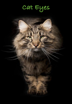 Cat Eyes