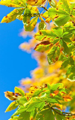 आनंदवाटा