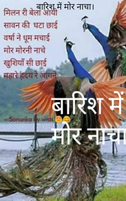 बारिश में मोर नाचा