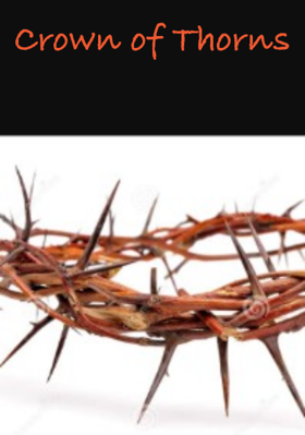 Crown of Thorns
