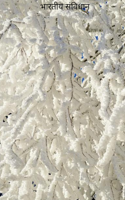 भारतीय संविधान