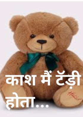 काश मैं टैड़ी होता...