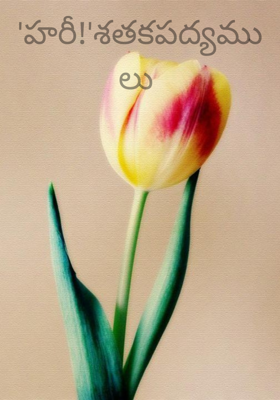 'హరీ!'శతకపద్యములు