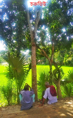 "চক্রভিউ"