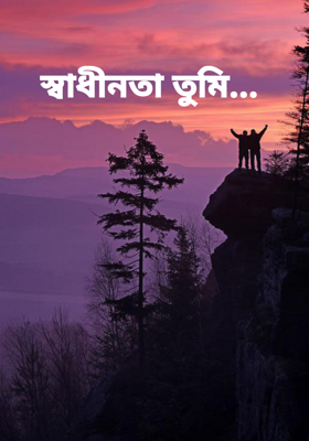 স্বাধীনতা তুমি...