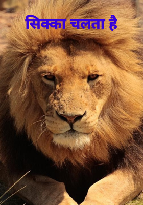 सिक्का चलता है