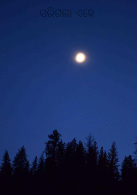 ସରିଗଲା ଏବେ