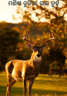 ମଣିଷ ଦୁନିଆ ଭଲ ନୁହଁ