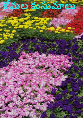 కోమల కుసుమాలు