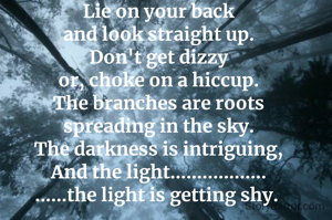 Lie on your back
and look straight up.
Don't get dizzy
or, choke on a hiccup.
The branches are roots
spreading in the sky.
The darkness is intriguing,
And the light..................
......the light is getting shy. 
