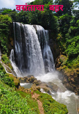 वसंताचा बहर