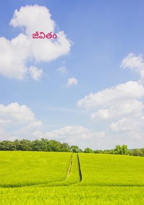 జీవితం