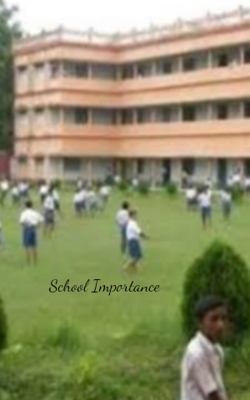 School Importance