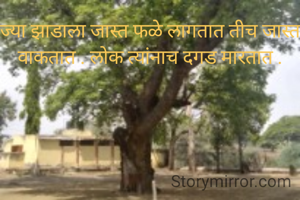 ज्या झाडाला जास्त फळे लागतात तीच जास्त वाकतात . लोक त्यांनाच दगड मारतात .