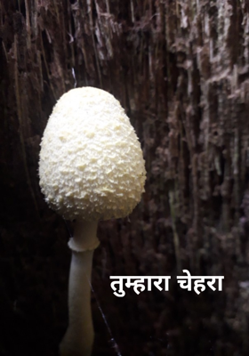 तुम्हारा चेहरा