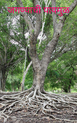 जगण्याची मुळ