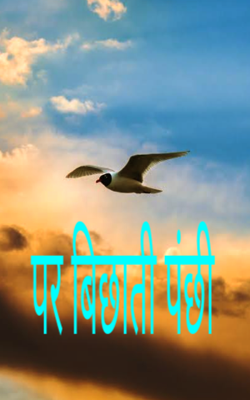 पर बिछाती पंछी