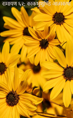 रामायण ६२; काकभुशुण्डि आत्मकथा