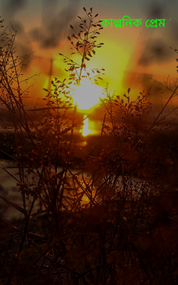 'কাল্পনিক প্রেম '