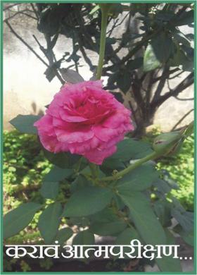 करावं आत्मपरीक्षण...