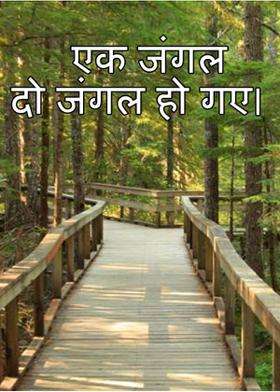 एक जंगल दो जंगल हो गए।